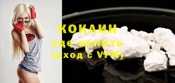 шишки Артём
