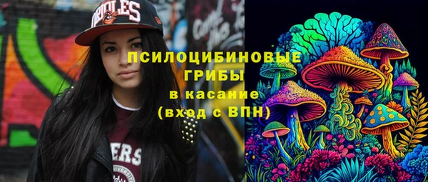 шишки Артём