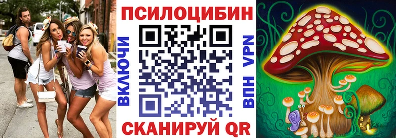 Псилоцибиновые грибы Psilocybine cubensis  мориарти официальный сайт  Нолинск 